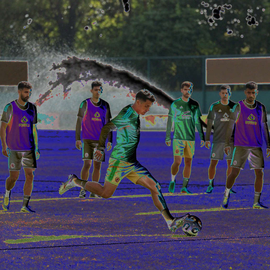 Pumas CU thắng Águilas Blancas 24-6: chiếc áo Cóndores, mười chức vô địch và khoảng trống dữ liệu